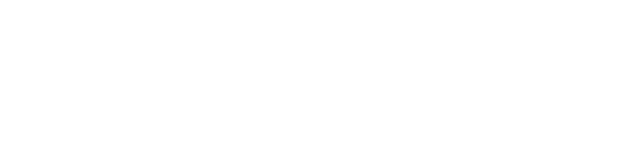 ROOT | Estudio creativo